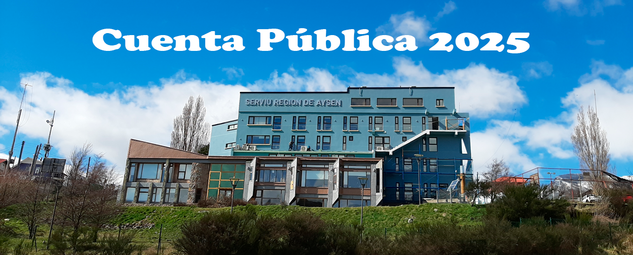invitamos a descargar el texto de la Cuenta Pública.